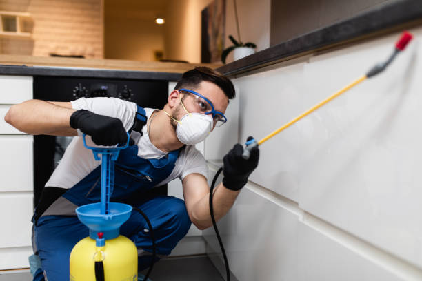 Best Local Pest Control Services  in Gateway, AK