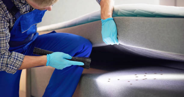 Best Mosquito Control Services  in Gateway, AK