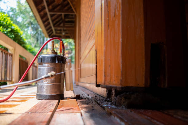 Best Termite Control Services  in Gateway, AK