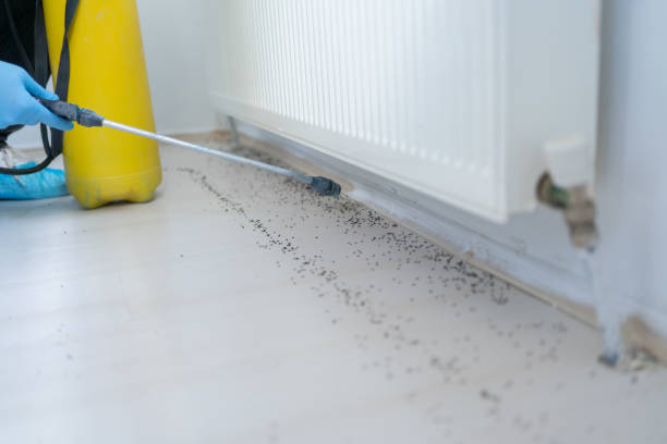 Best Insect Control  in Gateway, AK