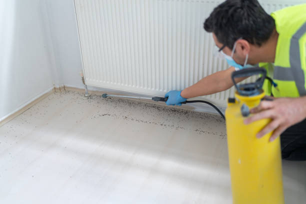 Best Residential Pest Control  in Gateway, AK