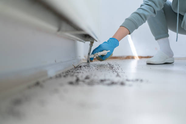 Trusted Gateway, AK Pest Control Experts